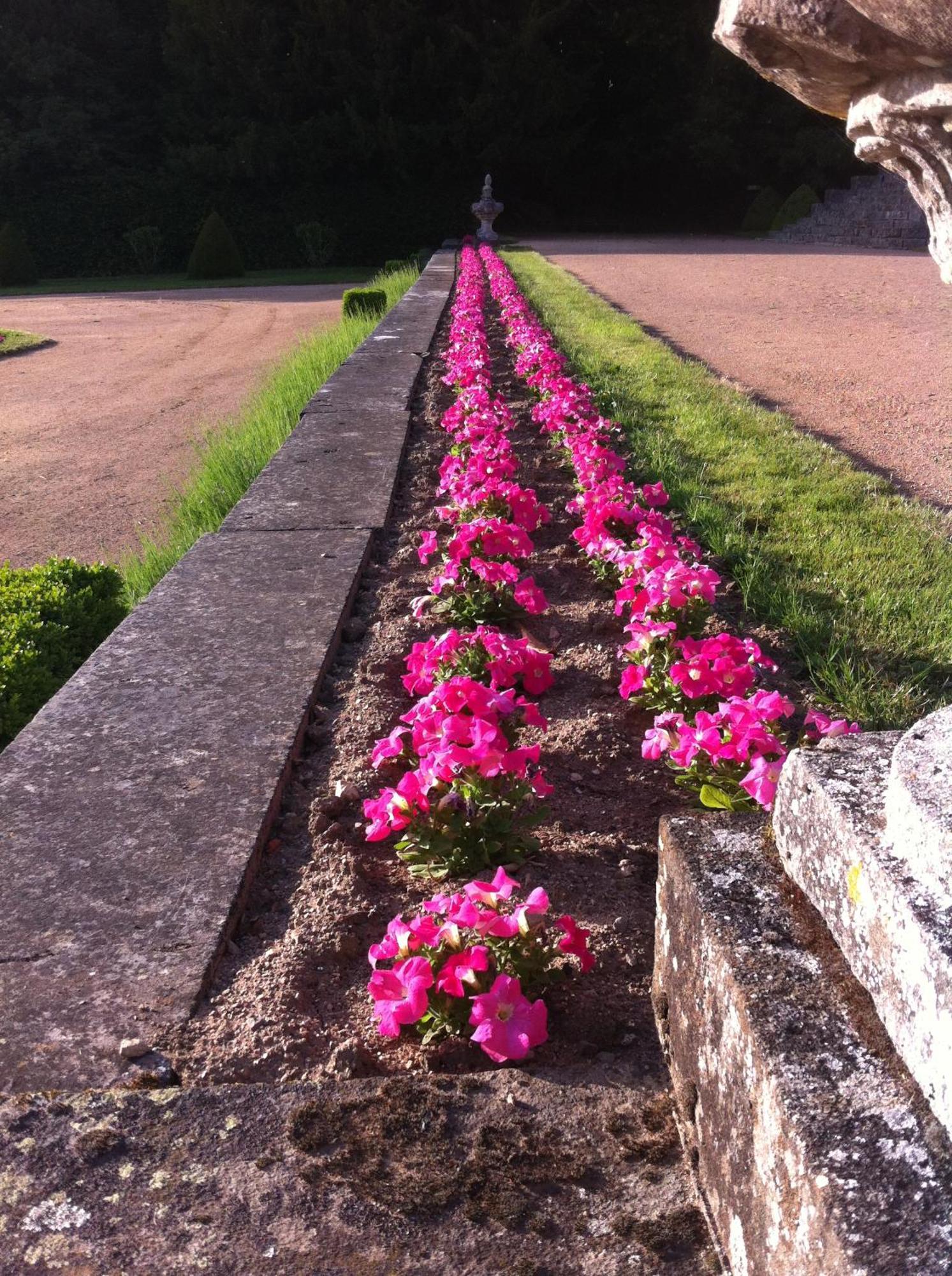 Chateau De Busset ภายนอก รูปภาพ